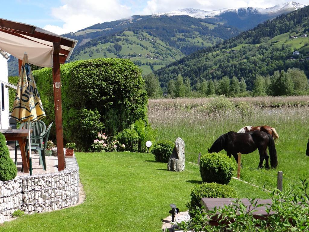 Appartement Plattner Zell am See Esterno foto
