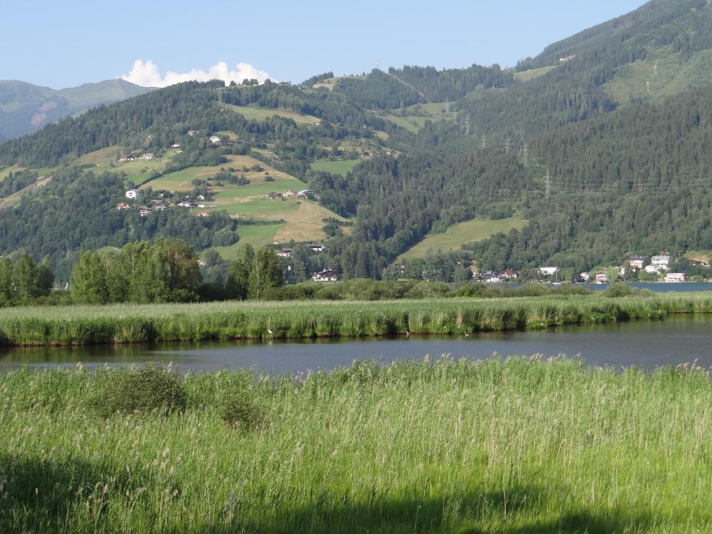Appartement Plattner Zell am See Esterno foto